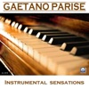 Gaetano Parise - Ricordi del passato