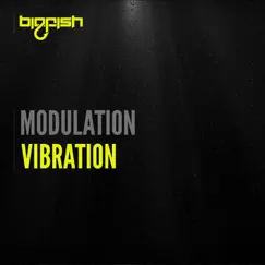 Vibration - Single by Modulation album reviews, ratings, credits