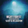 Night Forest Sounds for Meditation, Sleep & Relaxation album lyrics, reviews, download