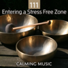 111 Entering a Stress Free Zone: Calming Music Session for Meditation, Relaxation, Reiki, Massage, Spa, Chakra Healing - Stress Relief Calm Oasis