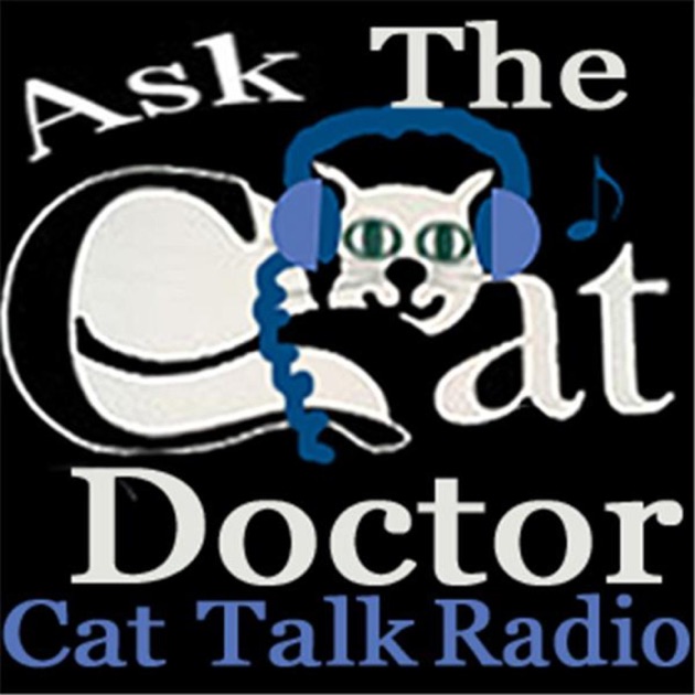 Доктор Кэт. Cat News. Красивая надпись Cat Doctor. Кипинг плюс. Radio pets