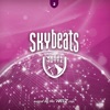 The Waz. Exp. - Skybeats 2 (Continuous DJ Mix)