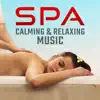 Spa Calming & Relaxing Music: Natural Sounds, Deep Sleep, Meditation, Prayer, Zen Garden, Chackra Balancing album lyrics, reviews, download