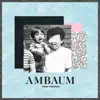 Stream & download Ambaum