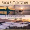 Yoga & Meditation: 111 Relaxation Music with Sounds of Nature for Inner Peace, Bliss & Harmony, Sounds Therapy for Spiritual Healing album lyrics, reviews, download