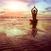 Stream & download Musicas Calmas - Musicas Instrumentais de Relaxamento para Dormir e Sons Relaxantes para Bem Estar e Saude Grande