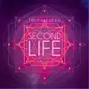 Second Life - Single album lyrics, reviews, download
