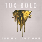 Shame on Me (feat. Ashley DuBose) artwork