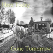 Here Today, Gone Tomorrow artwork