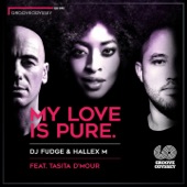 My Love Is Pure (feat. Tasita D'Mour) [Renato Xtrova Remix] artwork