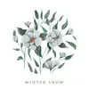 Winter Snow - Single album lyrics, reviews, download