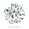 Audrey Assad - Winter Snow