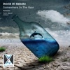 David Di Sabato - Somewhere in the Rain