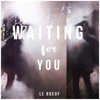 Le Boeuf - Waiting For You