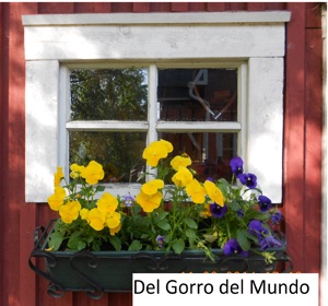 Del Gorro del Mundo # 63 Gustavo, un Veterano de Podcast