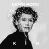 Ludvig Moon - Are We Still