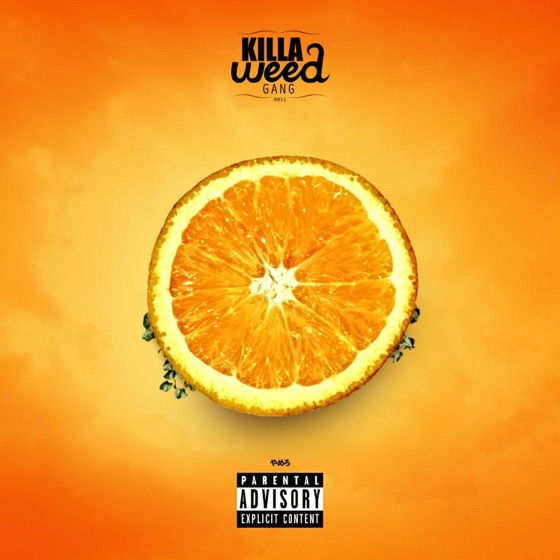 Cover artwork for Charles Bois