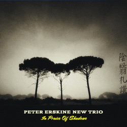 Peter Erskine New Trio - Begin Within (feat. Peter Erskine, Vardan Ovsepian & Damian Erskine)