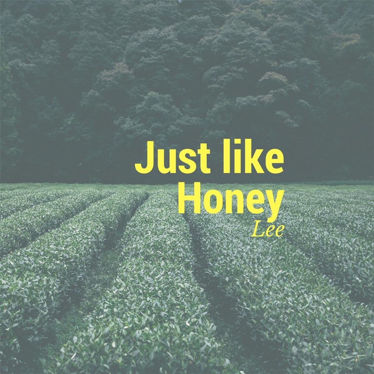 I like honey. Just like Honey. Listen Honey. Mileva - just like Honey. Download Song the Journey to our Home Haney Lee.