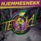 Tesla 2017 (Hjemmesnekk) [feat. Brosnes] - Tesla 2017 & Trapmeister lyrics