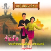 รักเมียหลวงห่วงเมียน้อย artwork