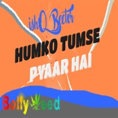 Humko Tumse Pyaar Hai artwork