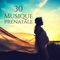 Calme et tranquille musique - Relax musica zen club lyrics
