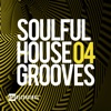 Soulful House Grooves, Vol. 04