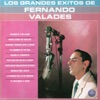 Los Grandes Éxitos de Fernando Valadés