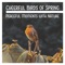 Reiki Healing Journey - Calm Singing Birds Zone lyrics