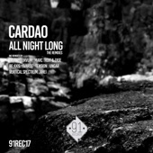 All Night Long the Remixes artwork