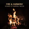Fire & Harmony: Sounds of Burning Wood – Tranquil Relaxation Music, Regulate Soul & Brain Activity album lyrics, reviews, download