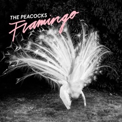The Peacocks - A Lie and a Cheat