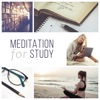 Meditation for Study: Instrumental Songs for Learning, Sounds Therapy for Exam Preparation, Memory Improvement, Stress Relief