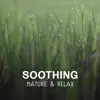 Soothing Nature & Relax – Energy Flow, Mental Inspiration, Healing Yoga Zen and Chakra Balancing album lyrics, reviews, download