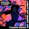 Light My Body Up (feat. Nicki Minaj & Lil Wayne) [Tujamo Remix] - Single, 2017