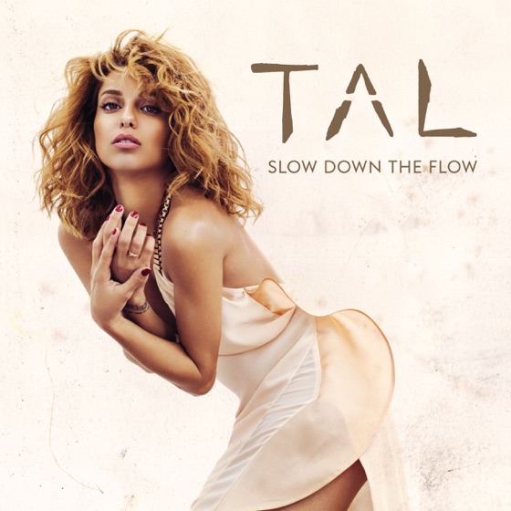 Cover artwork for Slow Down the Flow (Antiyu Radio Edit)