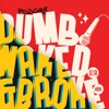 Dumb, Naked & Broke artwork