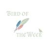 Bird of the Week artwork