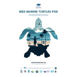 MED MARINE TURTLES POD - ARCHELON GREECE