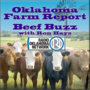 January Cattle Inventory Report Expected to Show a Stable U.S. Cow Herd Says OSU's Derrell Peel