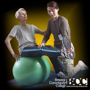Physical Therapist Assistant - Wrist & Hand - MT cover