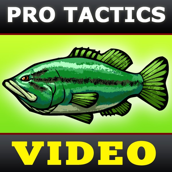 Bass Fishing Tactics Videos [BassFishin.Com]