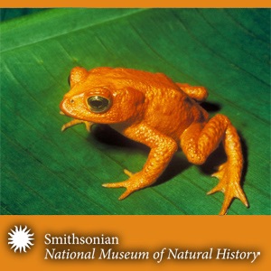 Reptiles Tales & Amphibians cover