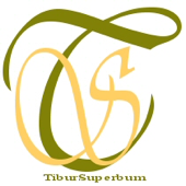 L'audioguida Tibursuperbum di Villa Adriana - Tibursuperbum S.r.l.