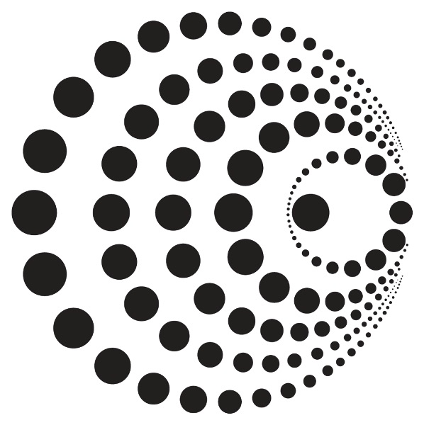 Chameleon Recordings – Visual Hunting cover