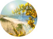 Tresco360 podcast cover