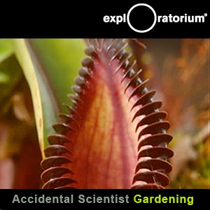 Accidental Scientist: Gardening - Video cover
