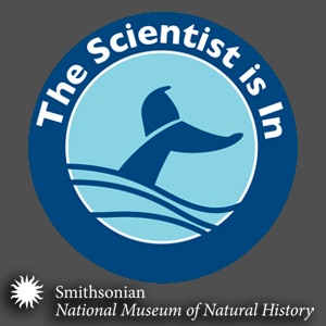 The Scientist is In cover