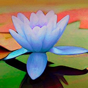 The Oneness Program » Podcast Feed cover